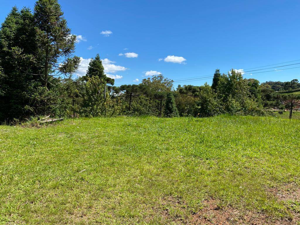 #2255 - Terreno em condomínio para Venda em Campos do Jordão - SP