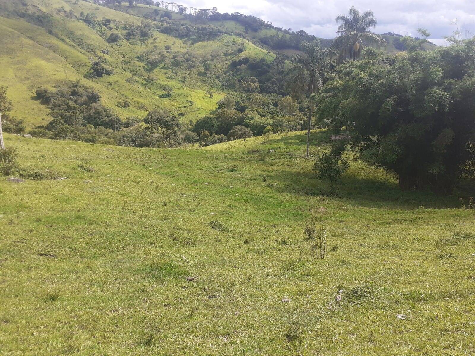 #2338 - Sítio para Venda em Santo Antônio do Pinhal - SP