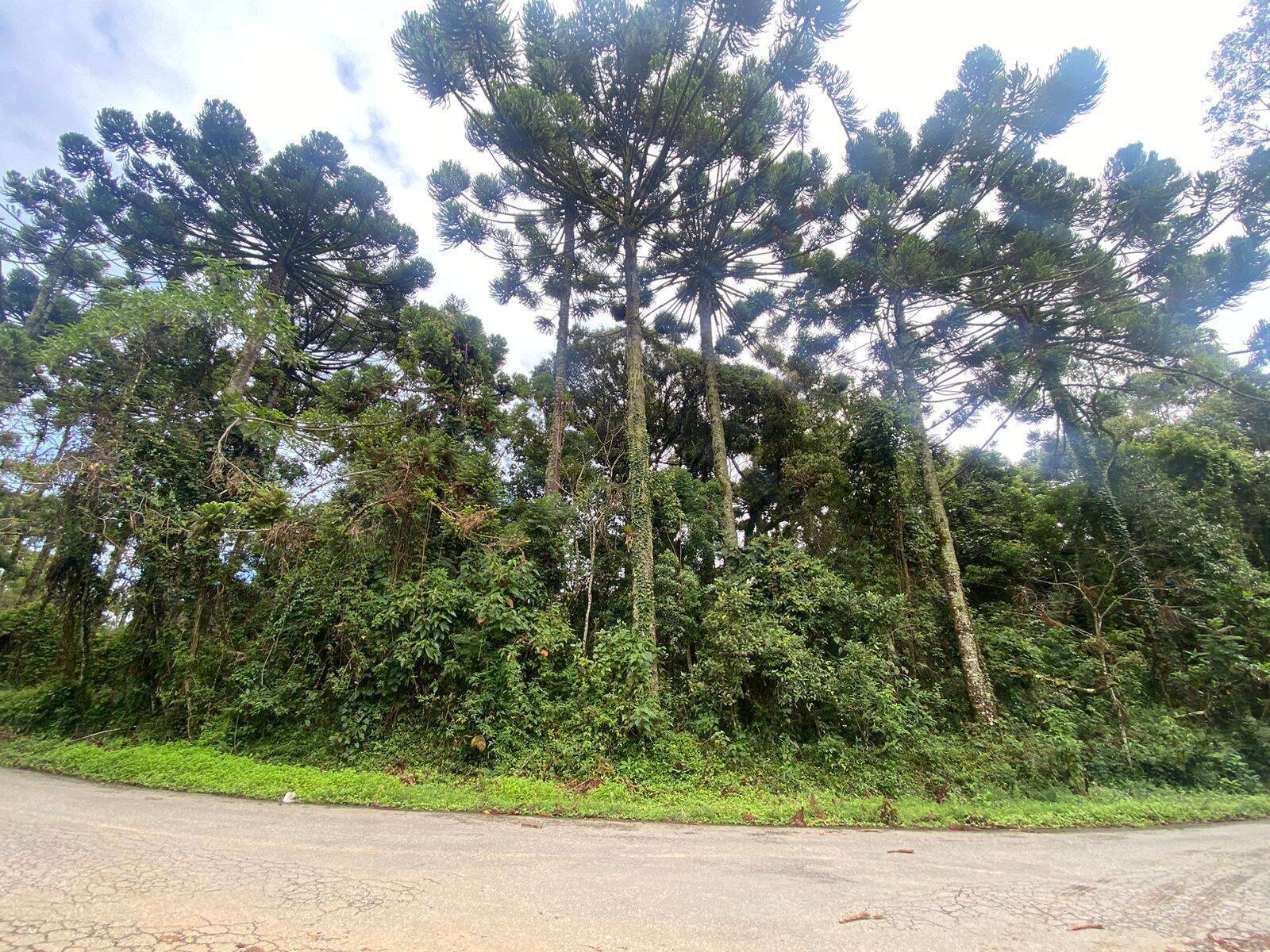 #2341 - Terreno para Venda em Campos do Jordão - SP