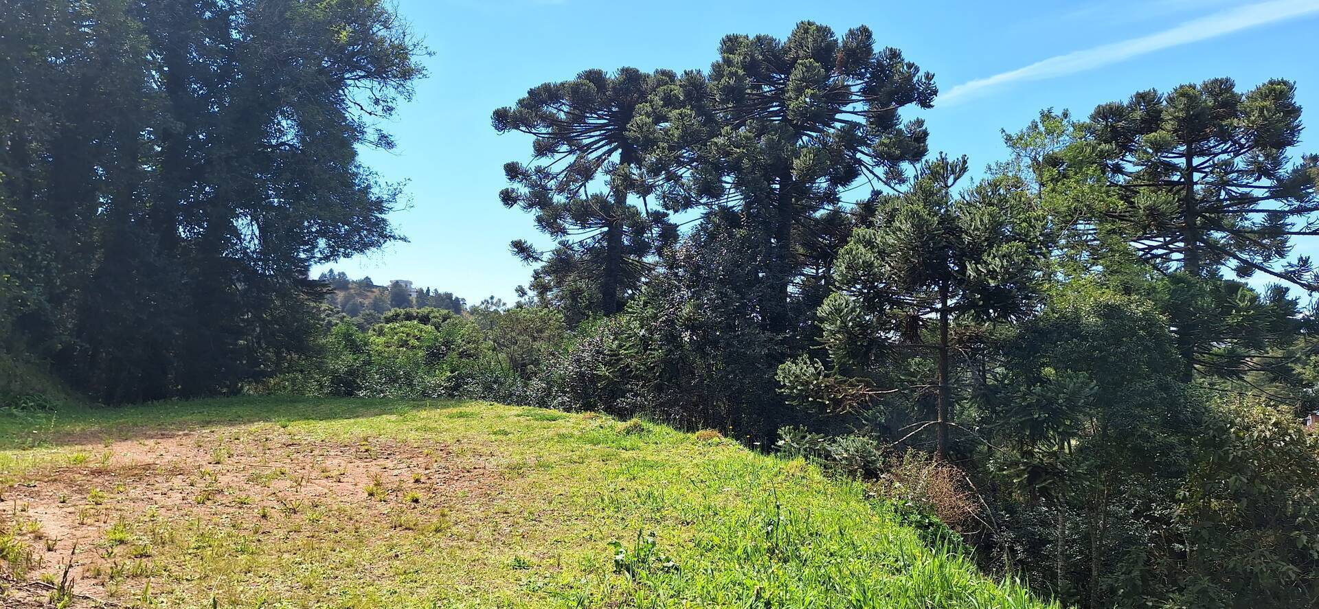 #2137 - Terreno em condomínio para Venda em Campos do Jordão - SP