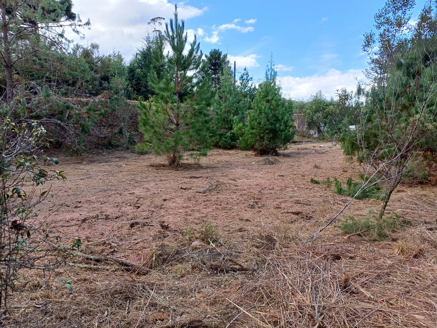 #2632 - Terreno para Venda em Campos do Jordão - SP