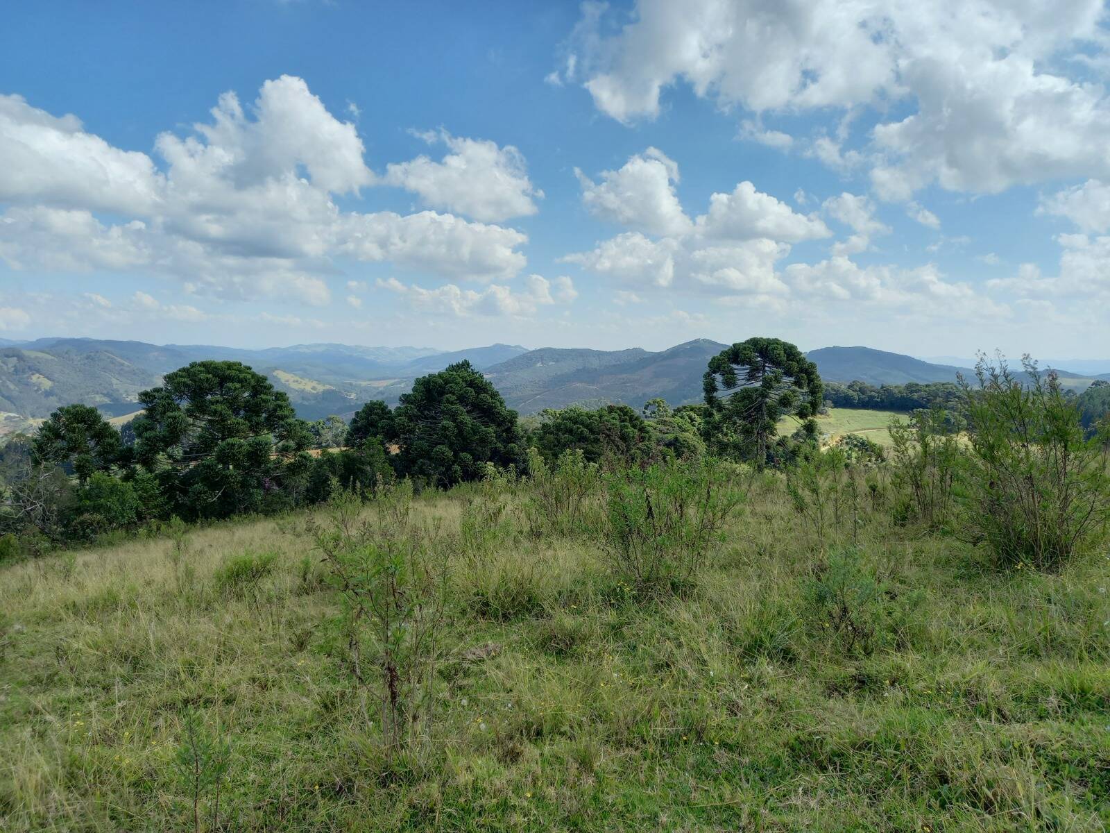 #2671 - Chácara para Venda em Gonçalves - MG