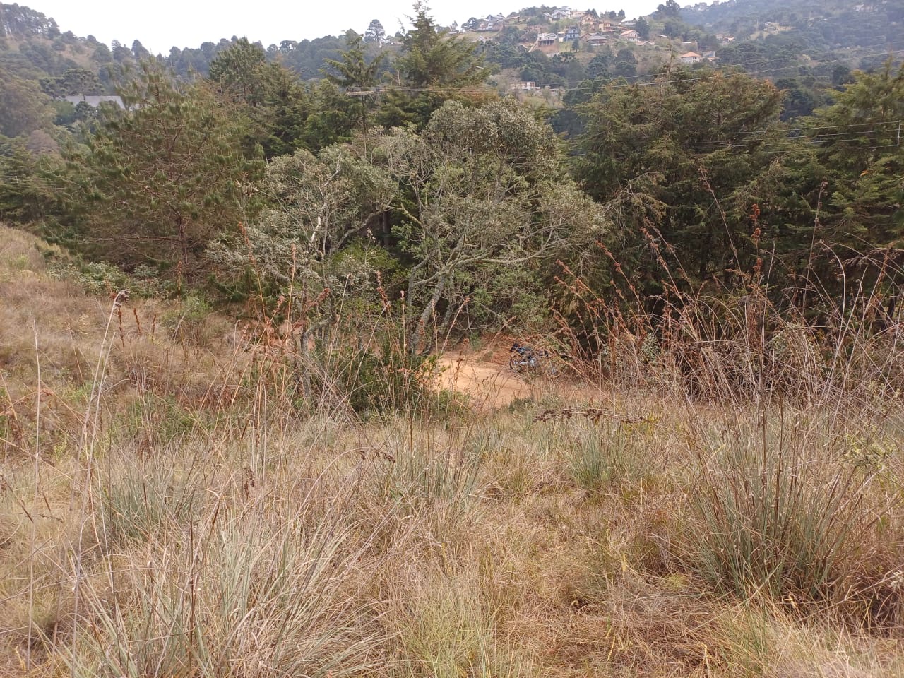 #2511 - Terreno para Venda em Campos do Jordão - SP