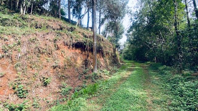 #2733 - Área para Venda em Campos do Jordão - SP