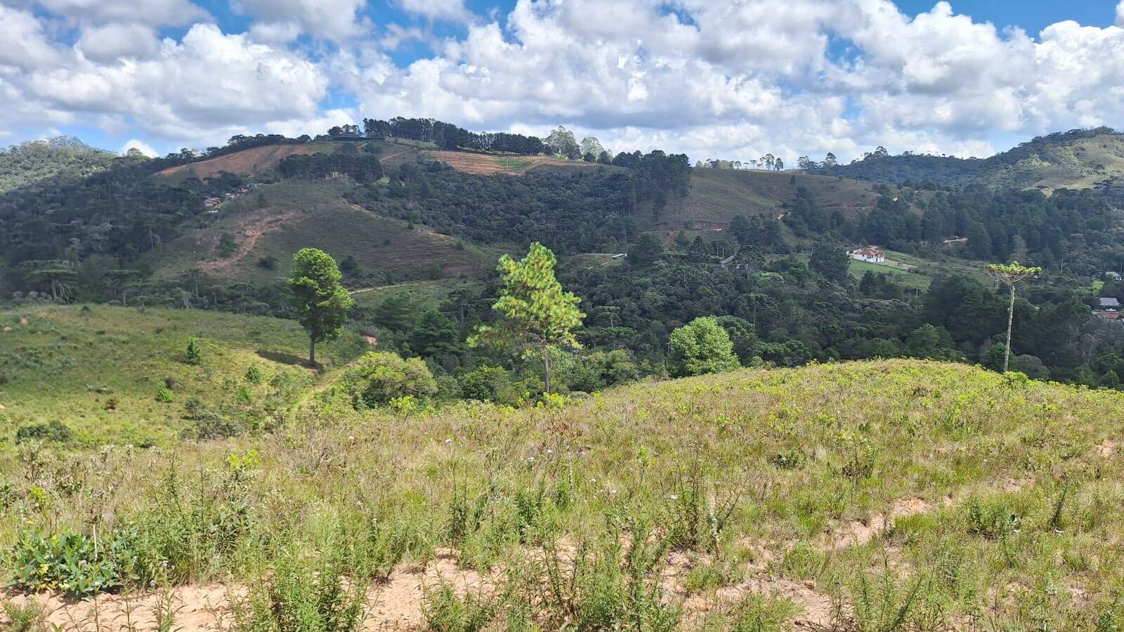 #1361 - Terreno para Venda em Campos do Jordão - SP