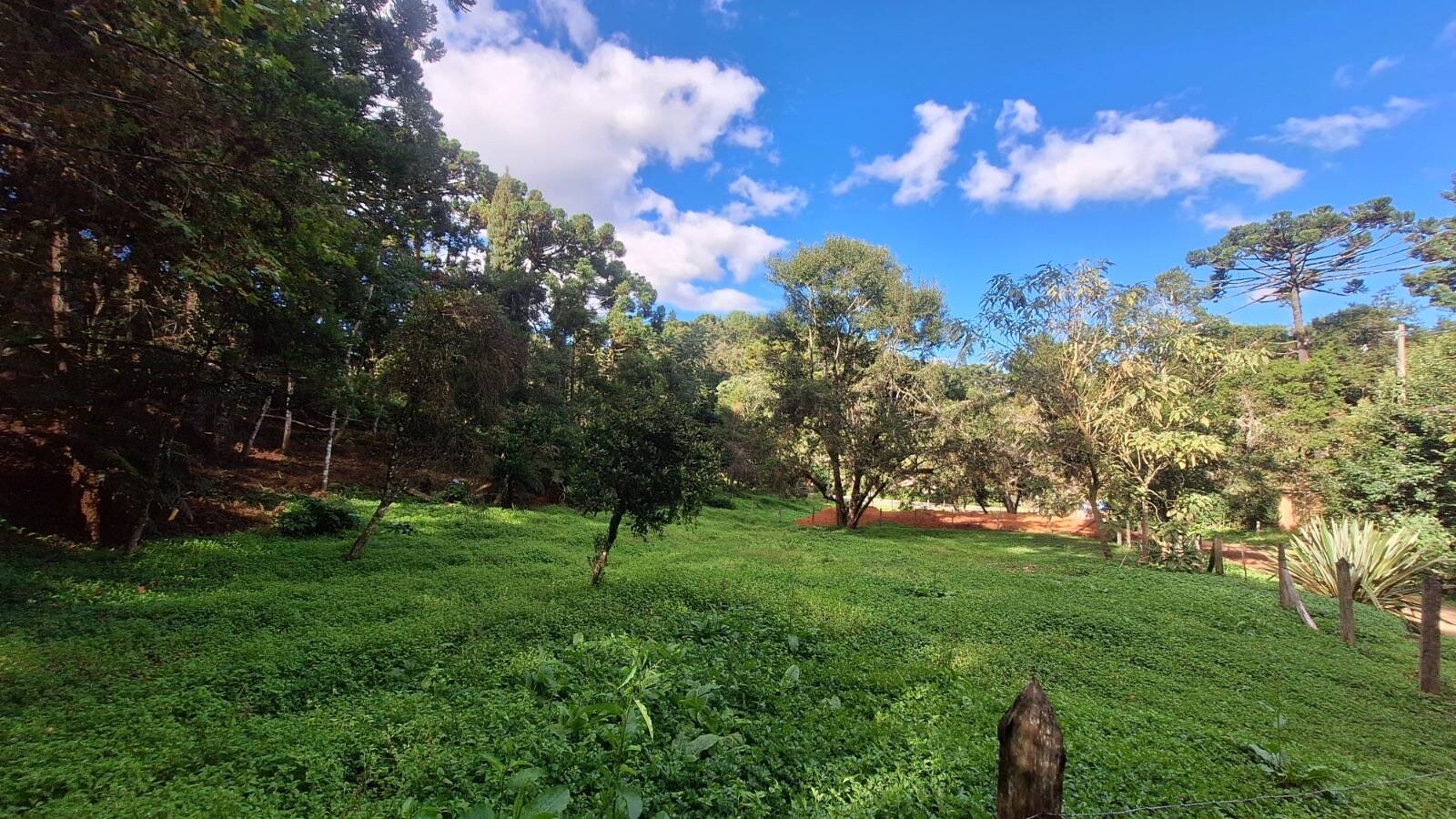 #2469 - Terreno para Venda em Campos do Jordão - SP