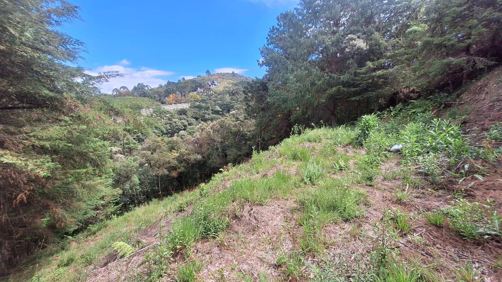 #2656 - Terreno em condomínio para Venda em Campos do Jordão - SP