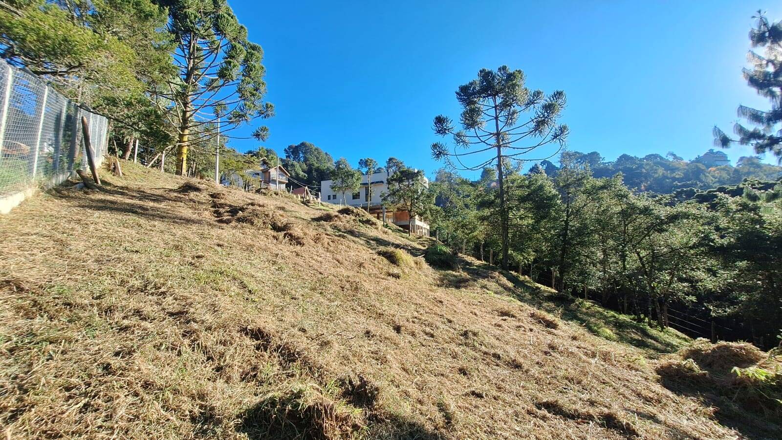 #2781 - Área para Venda em Campos do Jordão - SP