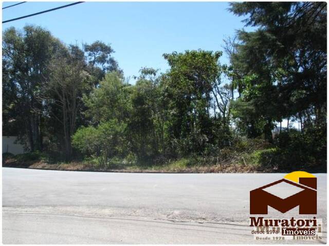Terreno para Venda em Campos do Jordão - 4