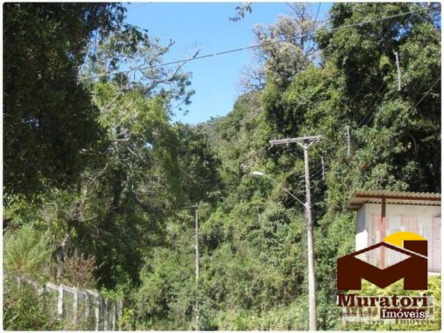 Terreno para Venda em Campos do Jordão - 5