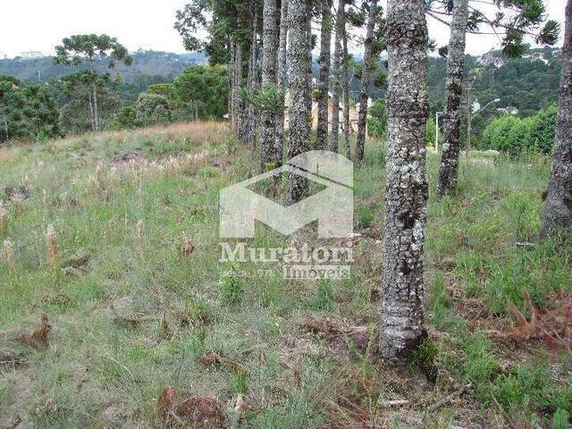 #948 - Terreno em condomínio para Venda em Campos do Jordão - SP