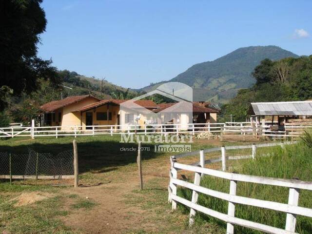 Sítio para Venda em Sapucaí-Mirim - 4