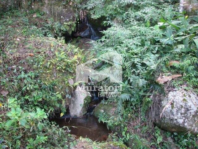 Sítio para Venda em Sapucaí-Mirim - 5
