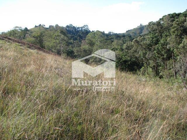 Terreno para Venda em Campos do Jordão - 5