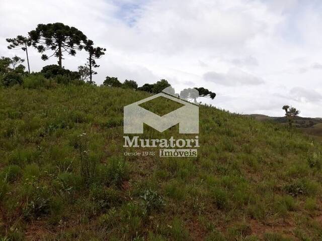 Terreno para Venda em Campos do Jordão - 5
