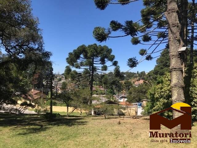 Área para Venda em Campos do Jordão - 2