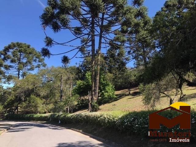 Área para Venda em Campos do Jordão - 1