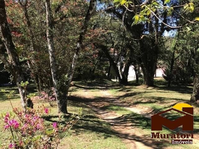 Área para Venda em Campos do Jordão - 5