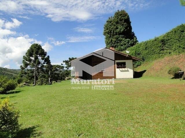 Casa para Venda em Campos do Jordão - 4