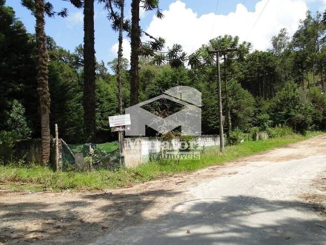 #1903 - Área para Incorporação para Venda em Campos do Jordão - SP