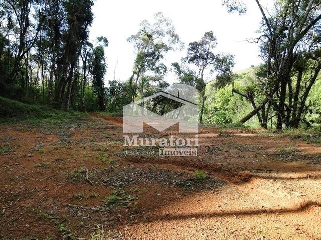 #1907 - Terreno para Venda em Campos do Jordão - SP