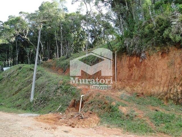 #1907 - Terreno para Venda em Campos do Jordão - SP