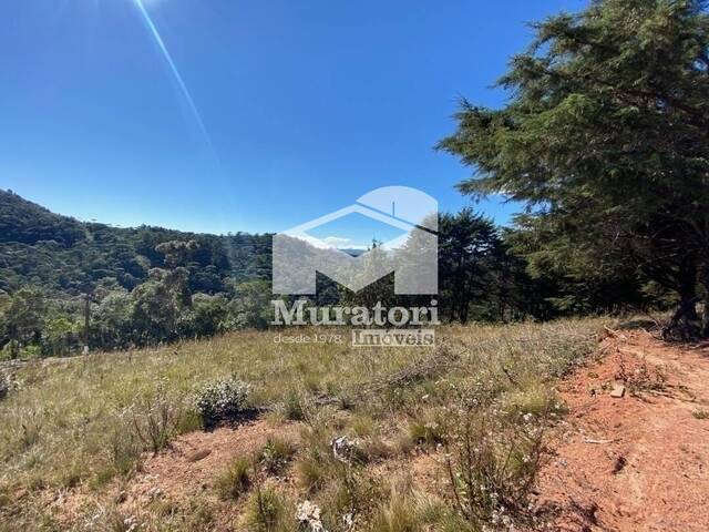 Terreno para Venda em Campos do Jordão - 4