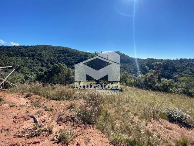 Terreno para Venda em Campos do Jordão - 5