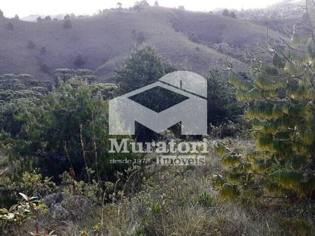 Área para Venda em Campos do Jordão - 5