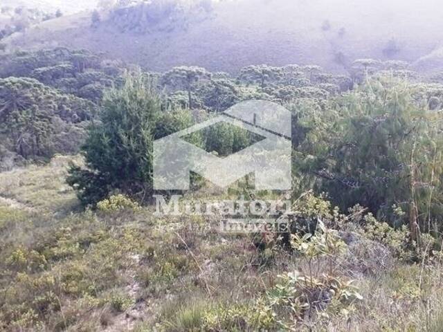 Área para Venda em Campos do Jordão - 4