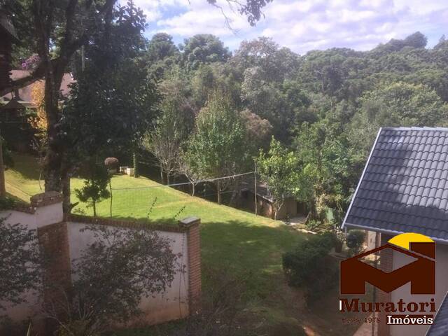 Terreno para Venda em Campos do Jordão - 4