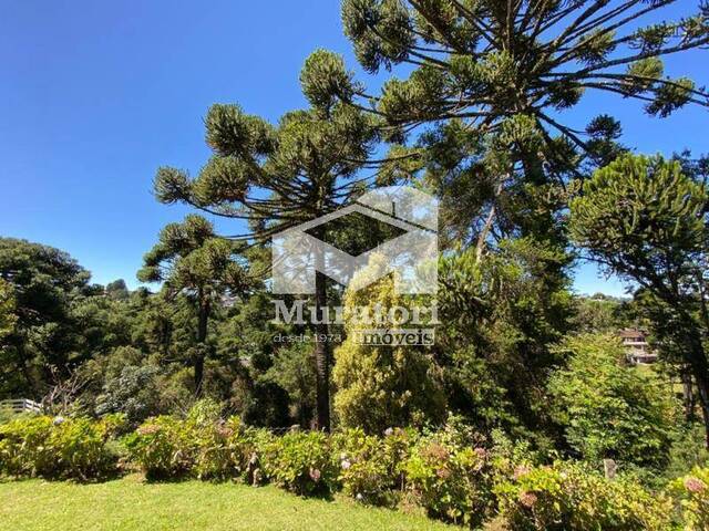Casa para Venda em Campos do Jordão - 5