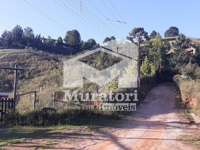 Terreno para Venda em Campos do Jordão - 5