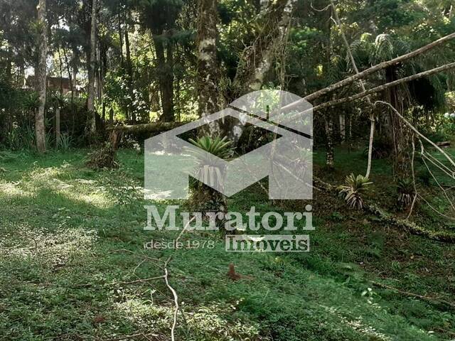Terreno para Venda em Campos do Jordão - 5