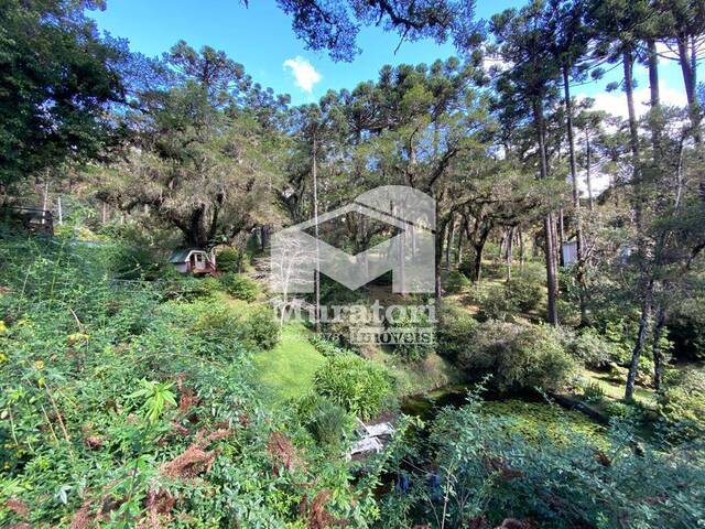 Casa para Venda em Campos do Jordão - 5