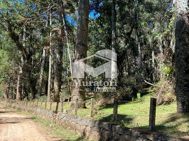 #2226 - Terreno para Venda em Campos do Jordão - SP