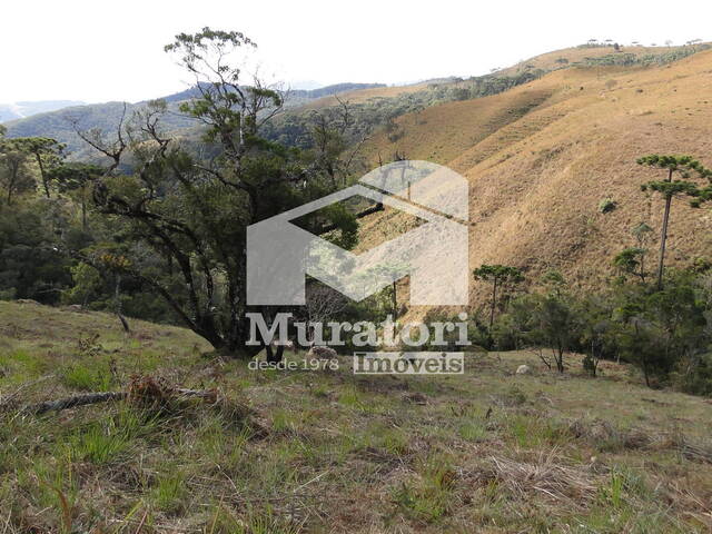 #2235 - Área para Venda em Campos do Jordão - SP