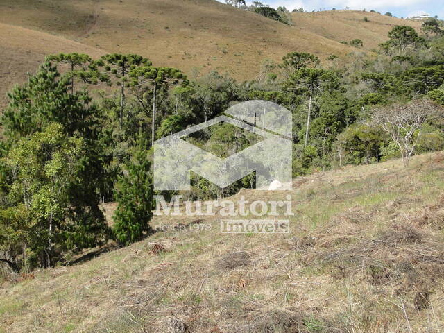 #2235 - Área para Venda em Campos do Jordão - SP