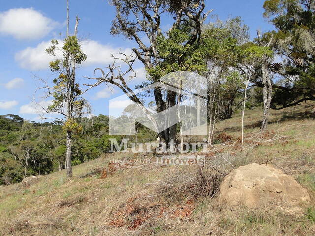 Área para Venda em Campos do Jordão - 4