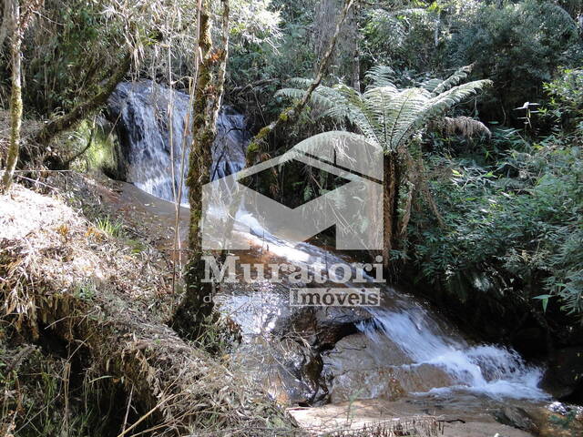 Área para Venda em Campos do Jordão - 5