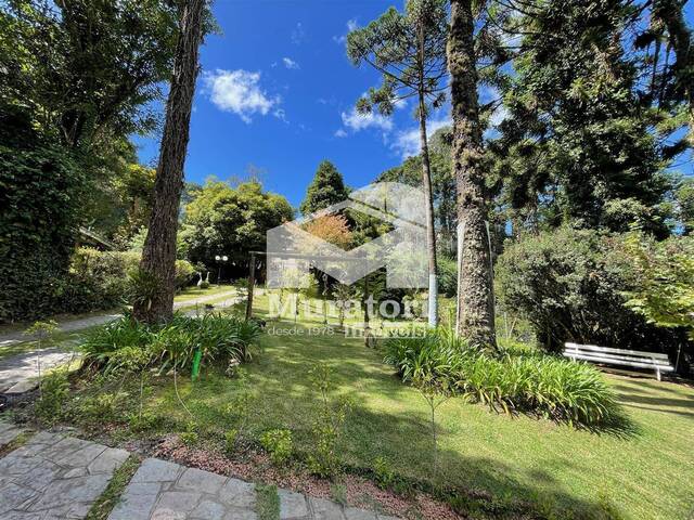 Casa para Venda em Campos do Jordão - 4