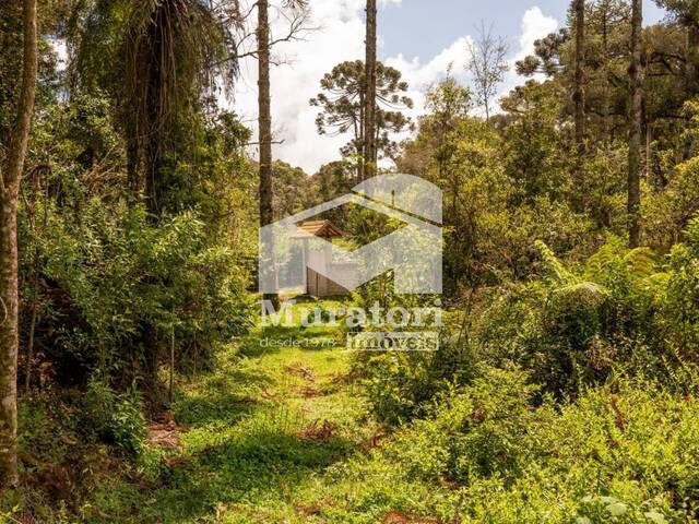 #2252 - Terreno para Venda em Campos do Jordão - SP