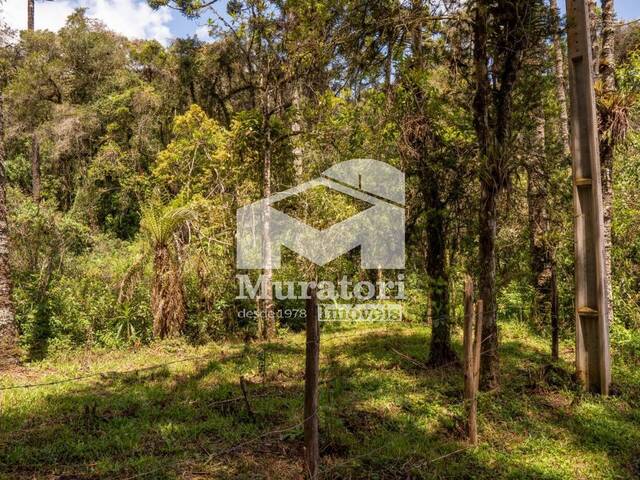 #2252 - Terreno para Venda em Campos do Jordão - SP