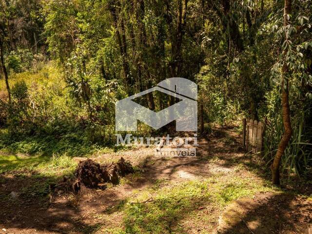 Terreno para Venda em Campos do Jordão - 5