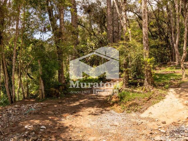 Terreno para Venda em Campos do Jordão - 4
