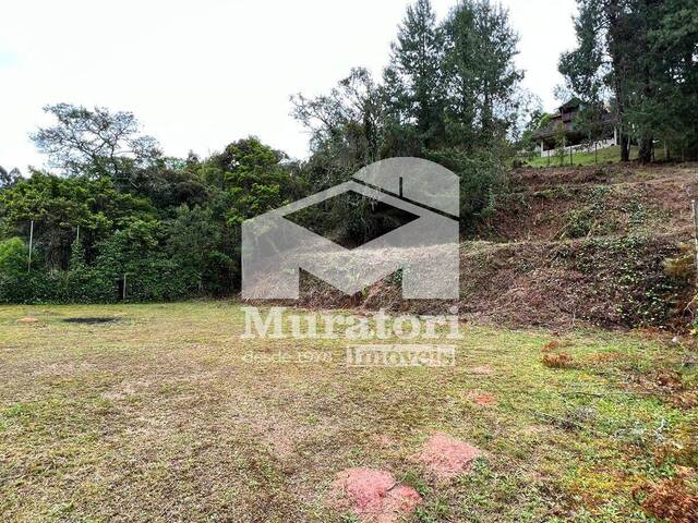 Área para Incorporação para Venda em Campos do Jordão - 4