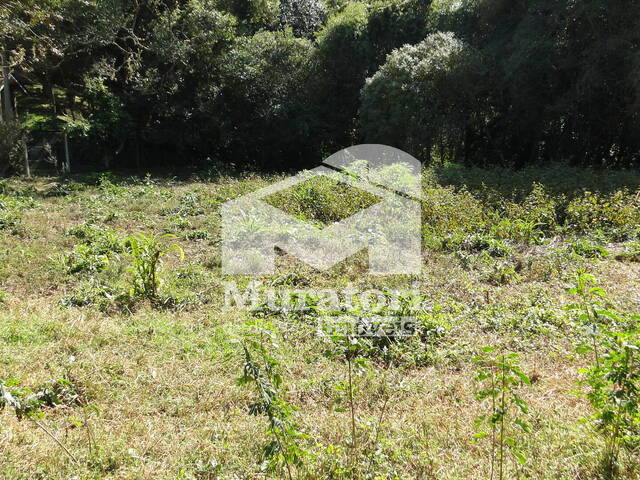 #2262 - Terreno para Venda em Campos do Jordão - SP