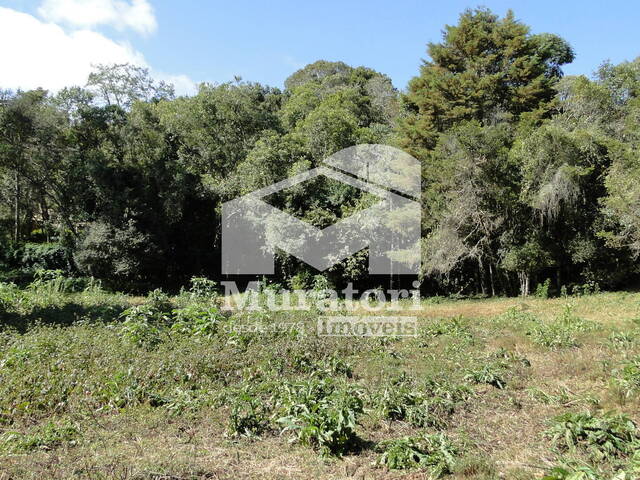 Terreno para Venda em Campos do Jordão - 4