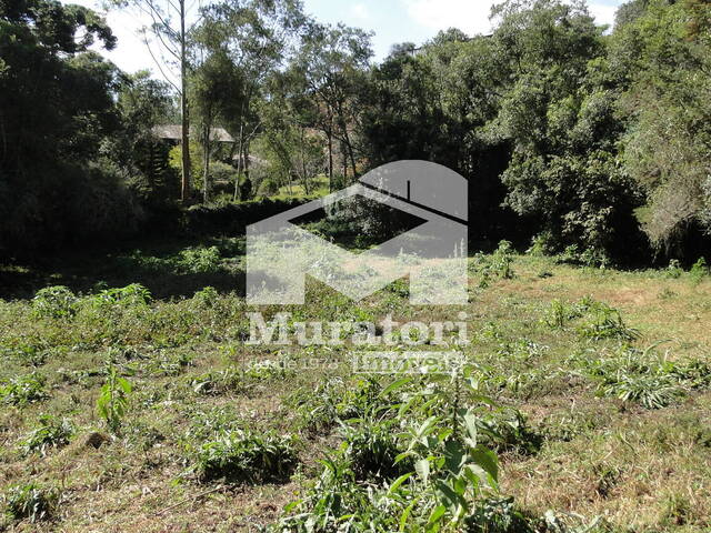 Terreno para Venda em Campos do Jordão - 5