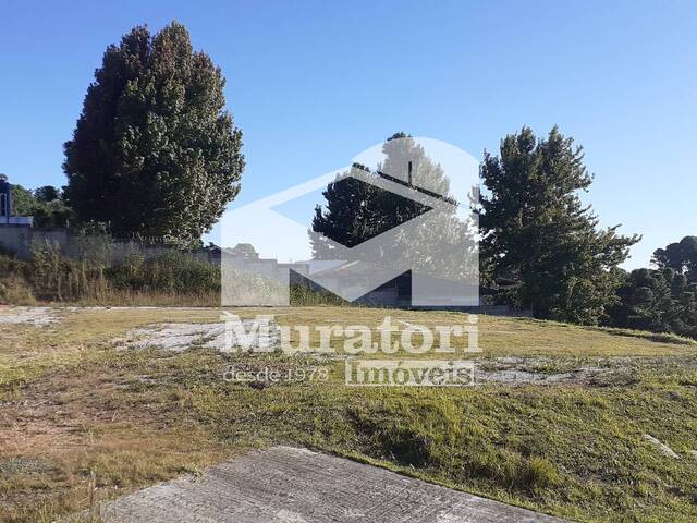 #2309 - Terreno para Venda em Campos do Jordão - SP